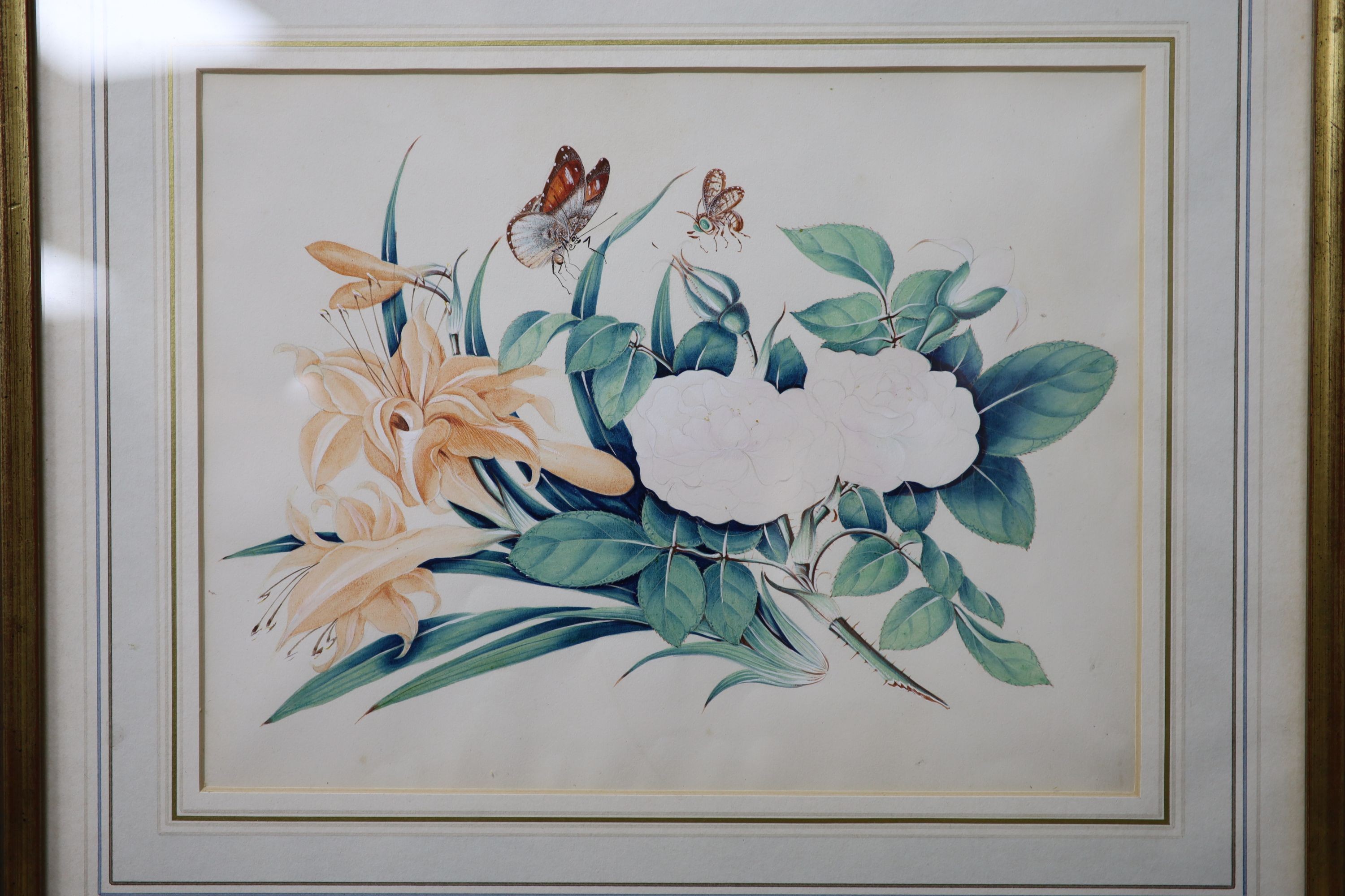 19th century English School, a set of eight watercolour and gouache botanical studies with butterflies, 20 x 27cm